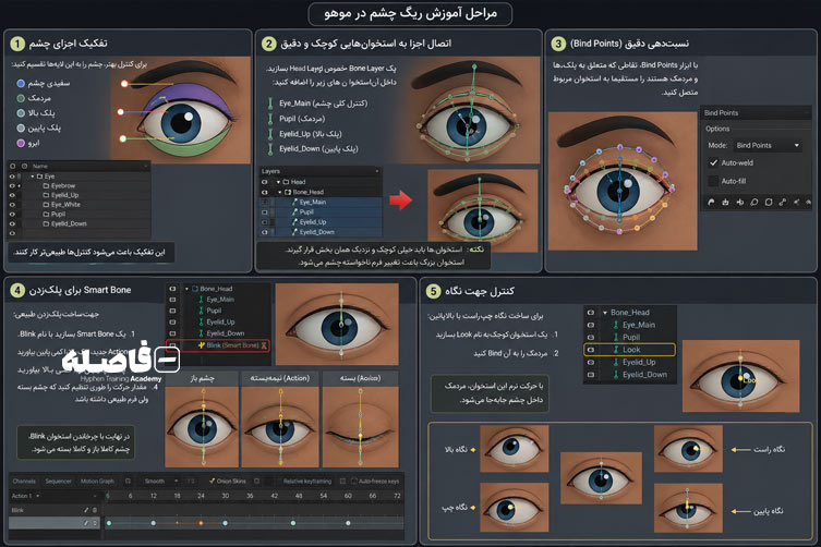 مراحل آموزش ریگ چشم در موهو